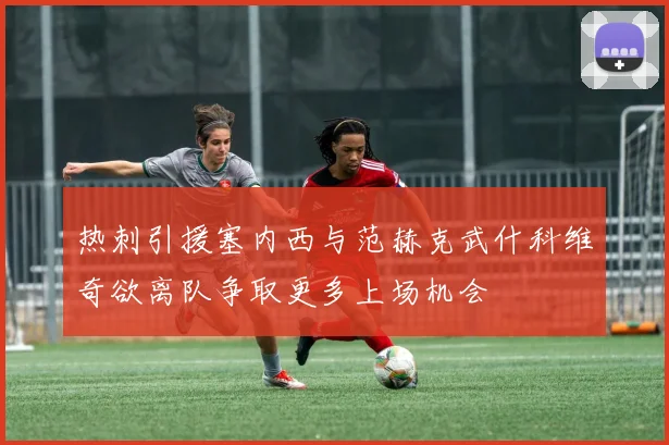 热刺引援塞内西与范赫克武什科维奇欲离队争取更多上场机会